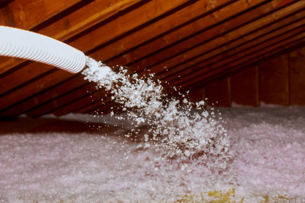 Best Spray Foam Insulation in Homer, AK