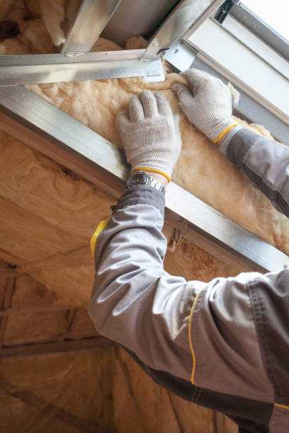 Best Spray Foam Insulation in Homer, AK