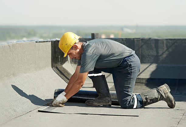 Best Specialized Insulation Services in Homer, AK